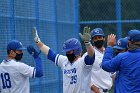 Baseball vs CGA  Wheaton College Baseball vs Coast Guard Academy during game one of the NEWMAC semi-finals playoffs. - (Photo by Keith Nordstrom) : Wheaton, baseball, NEWMAC